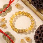 The Ultimate Wealth Bracelet - Professional Photo