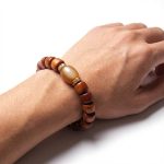 Tibetan Guardian Spirit Natural Yak Bone Bracelet - Professional Photo