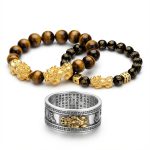 Feng Shui Wealth Enhancers Bundle - Professional Photo